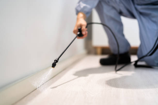 Licensed Pest Control service in Braddock Heights, MD - Show Me Pest Control