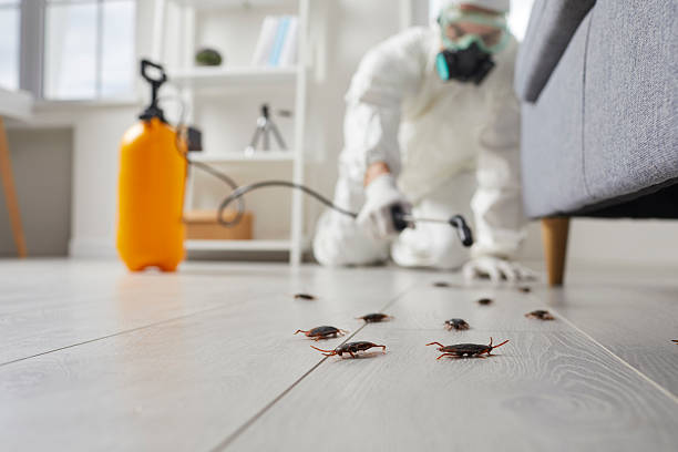 Commercial Kitchen Cockroach Control in Braddock Heights